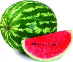 Melone - Wasser