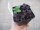 Gemüse-Jungpflanze Salat Salanova® grün + rot zu 4 Pfl. im 9cm-4-Ecktopf